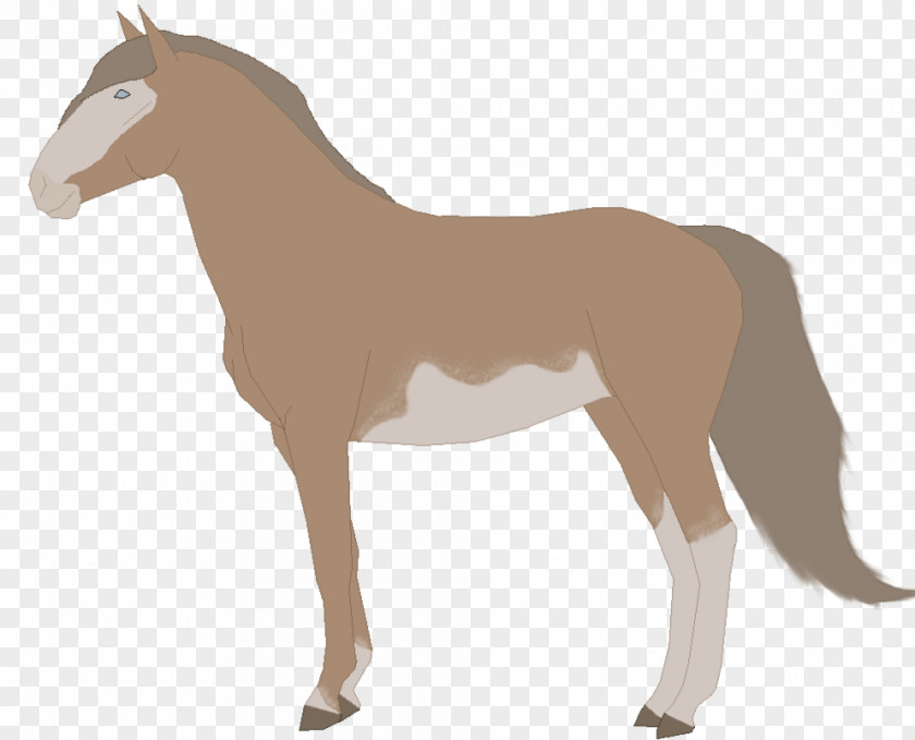 Lion Mule Mane Pony Panther PNG