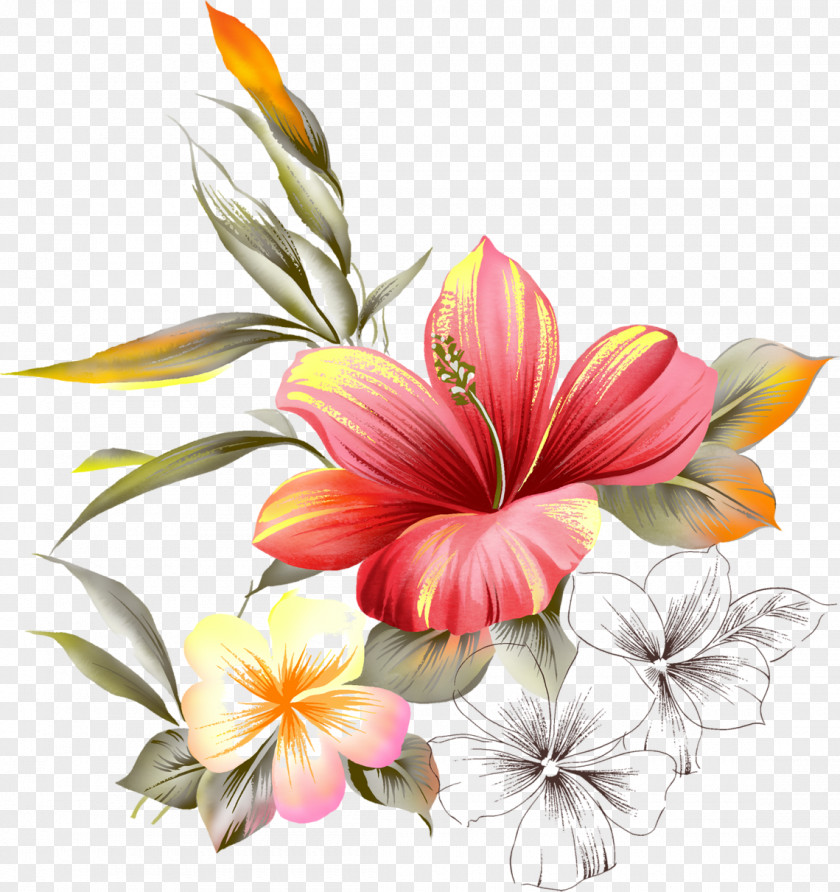 Peach Flower Picture Frames Download PNG