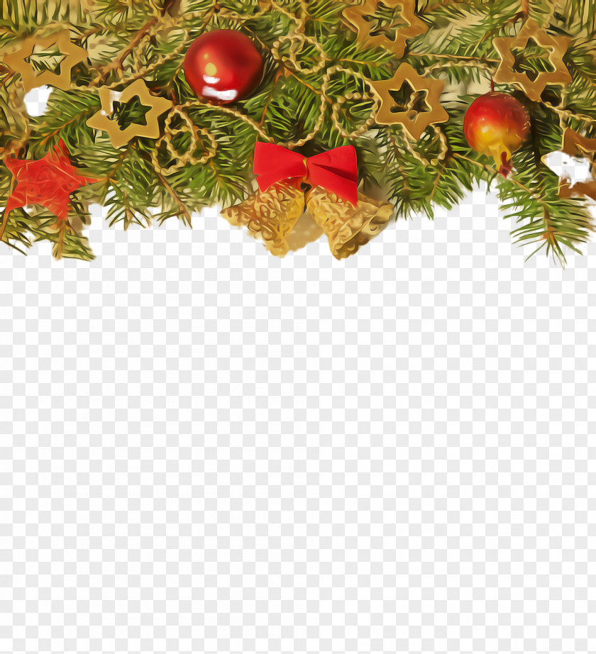 Pine Christmas Ornament PNG