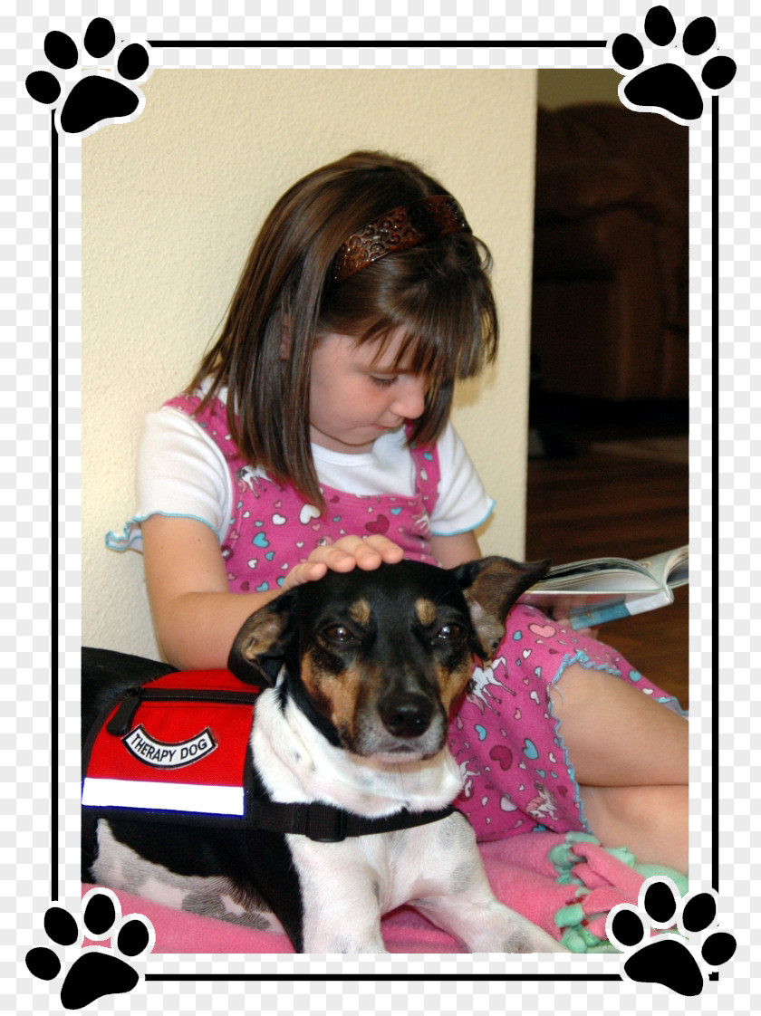 Puppy Dog Breed Animal-assisted Therapy Companion PNG
