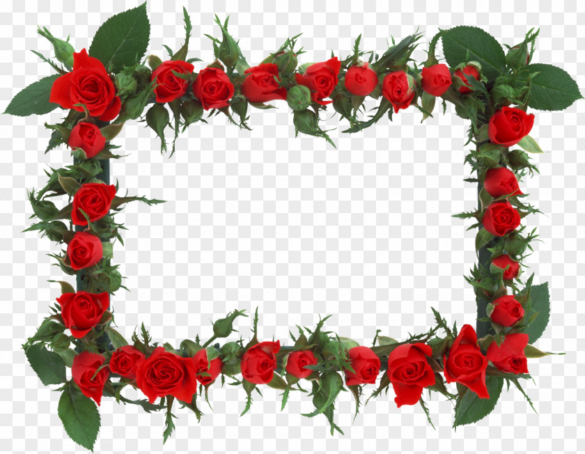 Rose Picture Frames Flower Window PNG