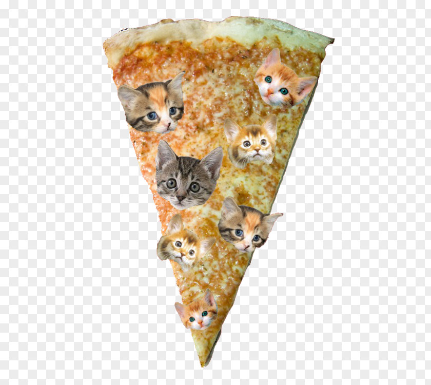 Slice Of Pizza Hut Cat Kitten PNG