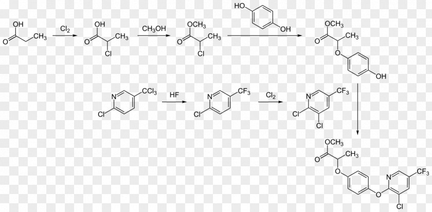 Synthesis Biomolecule Phytochemistry Proteasome Small Molecule PNG