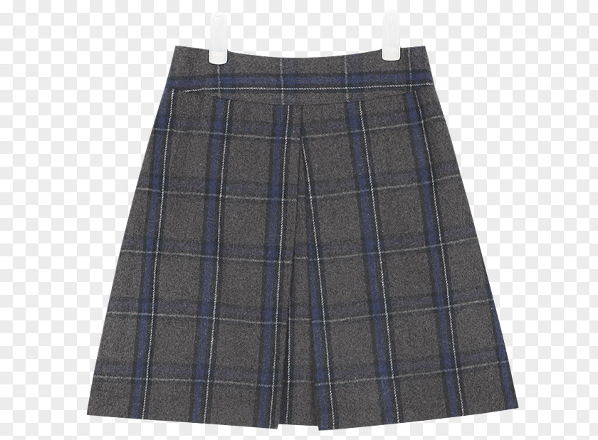 Tartan Skirt PNG