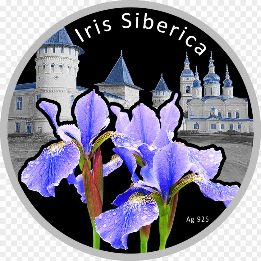 Tobolsk Kremlin Irises Silver Coin Niue PNG
