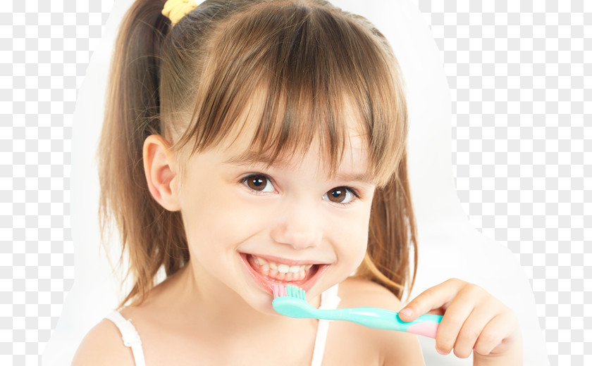 Dental Smile Tooth Brushing Dentistry Human PNG