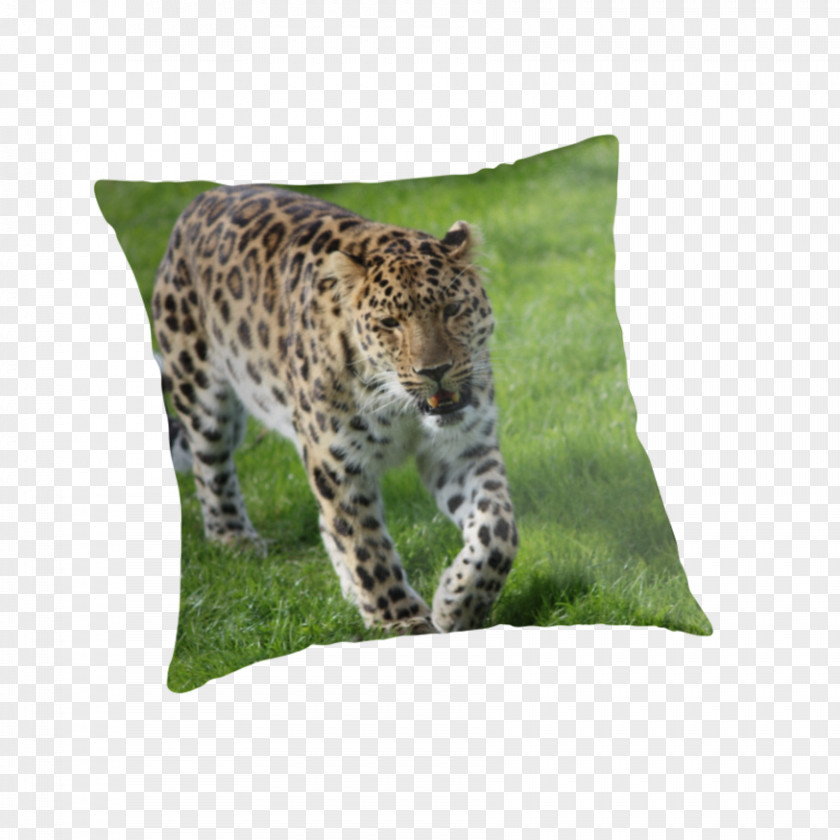 Leopard Jaguar Cheetah Throw Pillows PNG