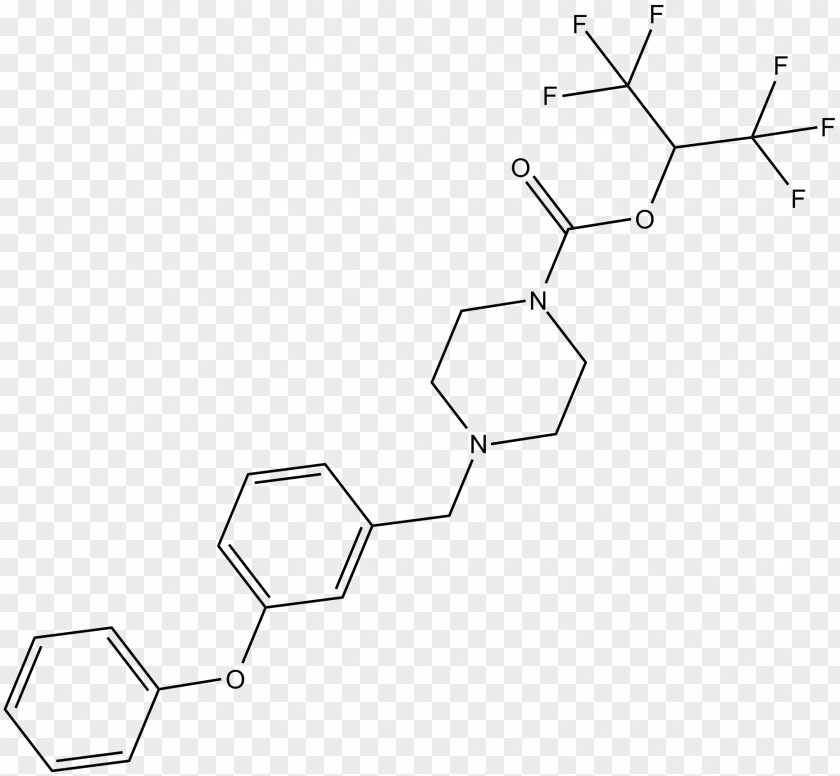 Organic Synthesis Peptide Library Information Receptor PNG
