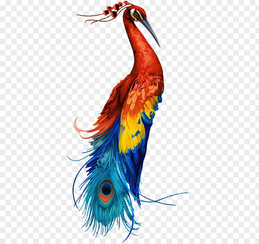 Peacock Bird Clip Art PNG