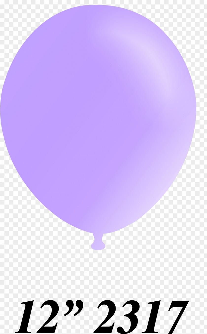 Ternua Sphere XL Balloon Product Design Purple Font PNG