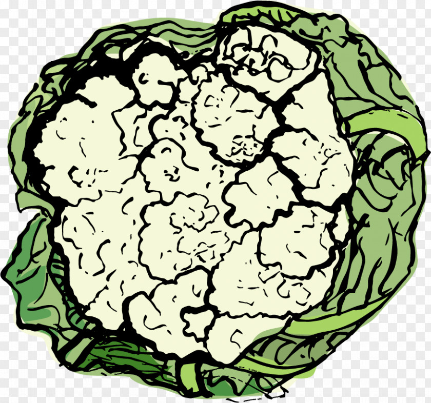 Cauliflower Food Leaf Vegetable Spring PNG