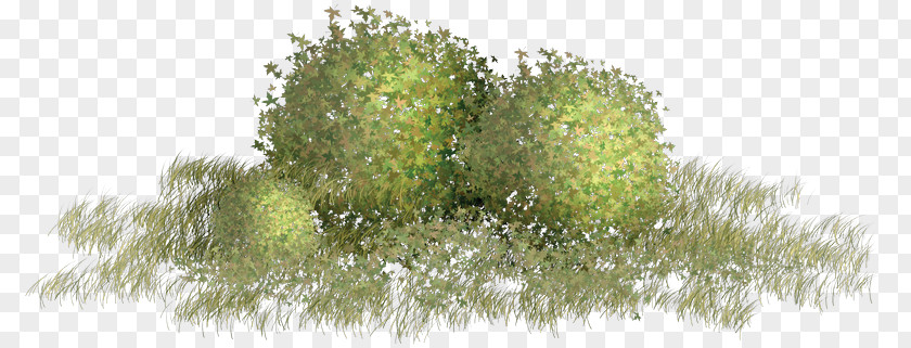 Green Grass Material Storm Clip Art PNG