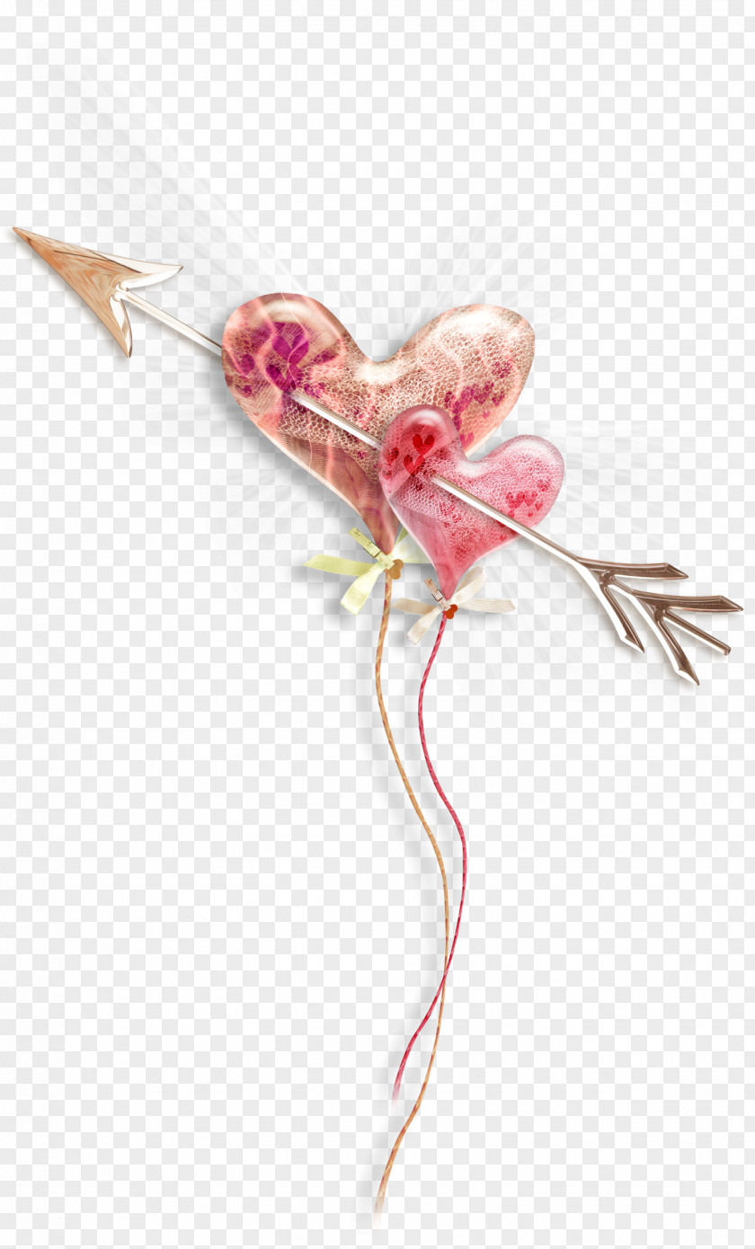 Love Peach Heart Clip Art PNG