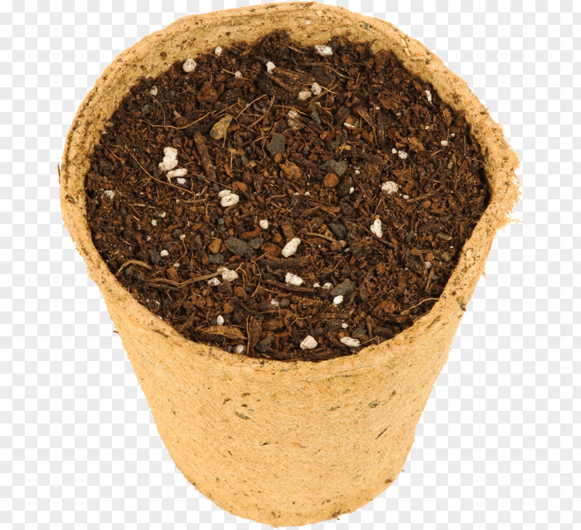 Marjoram Soil Flowerpot Superfood PNG