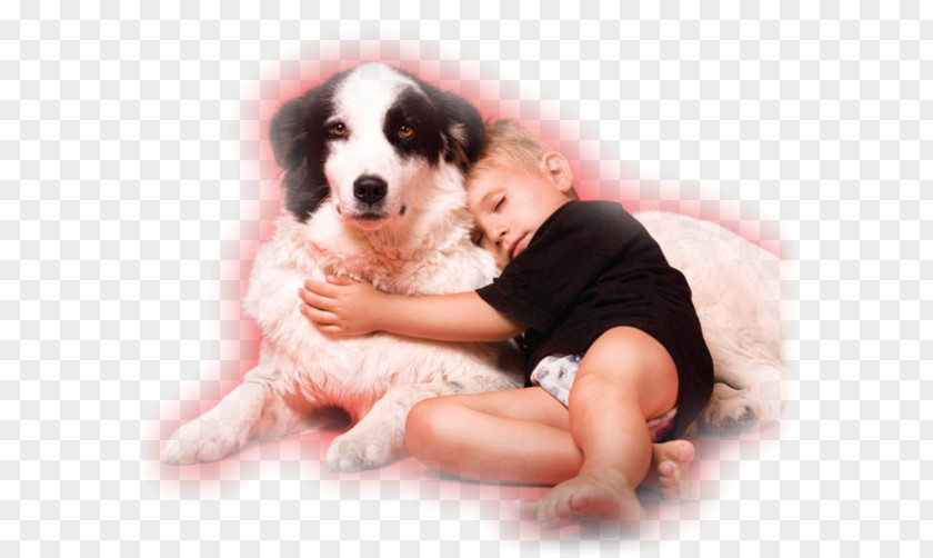 Dog Breed Puppy Child PNG
