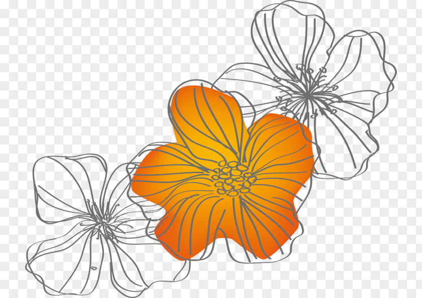 Flower Nature Clip Art Drawing Image Monarch Butterfly PNG