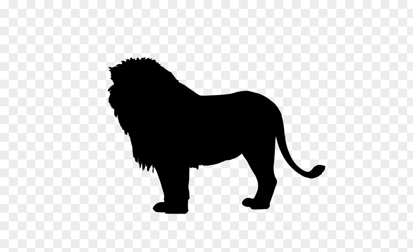 Lion Silhouette King Vector Graphics Illustration Image PNG