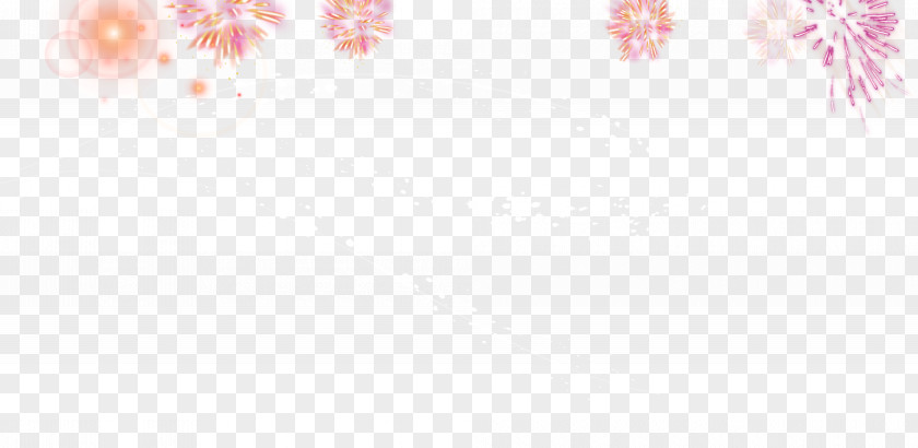 Fireworks,Flowers Petal Angle Pattern PNG