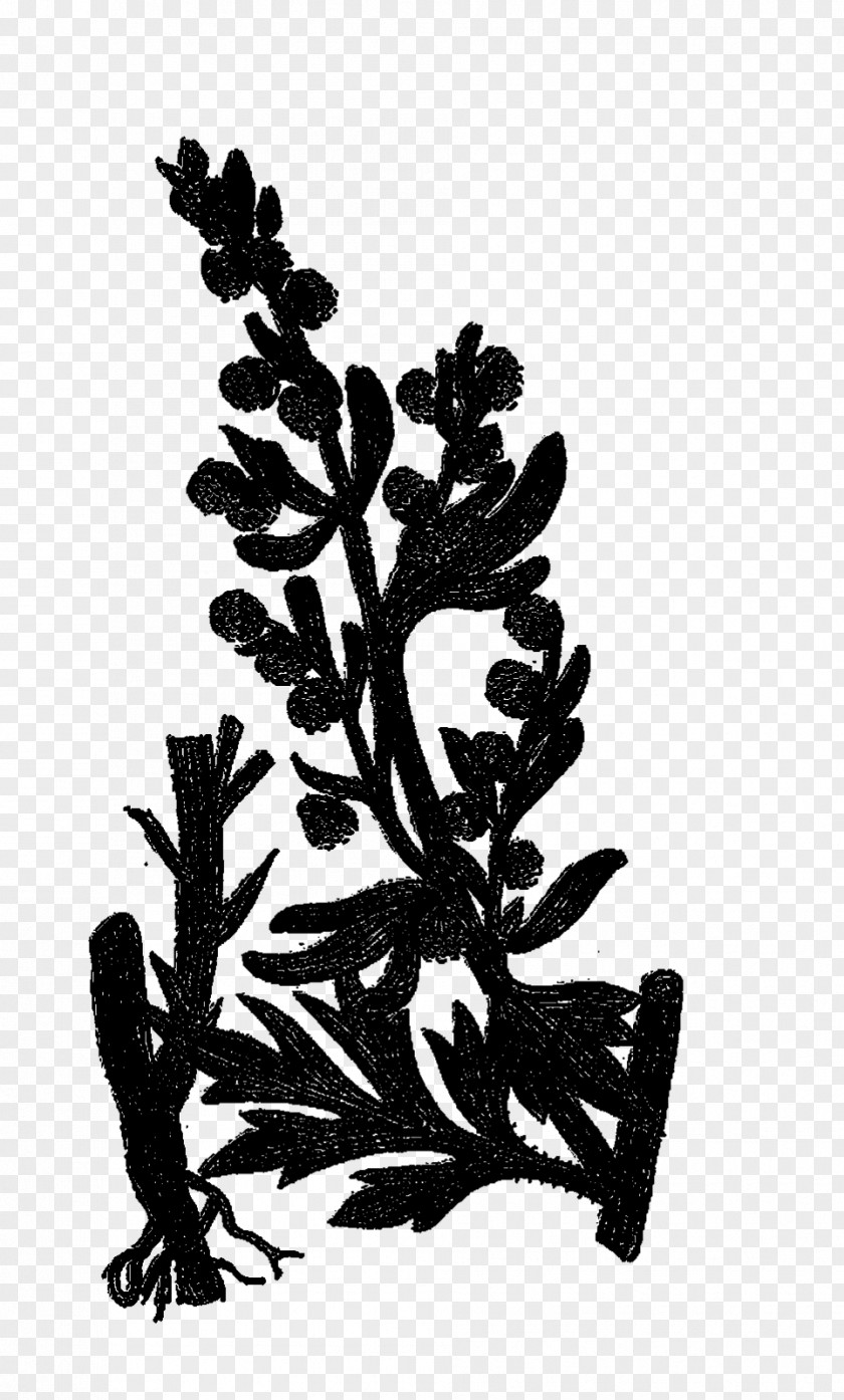 Font Silhouette Flower Leaf Branching PNG
