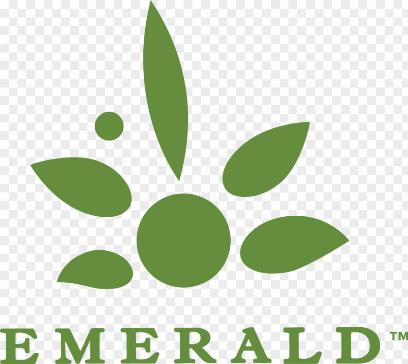 Leaf Logo Product Brand Font Green PNG