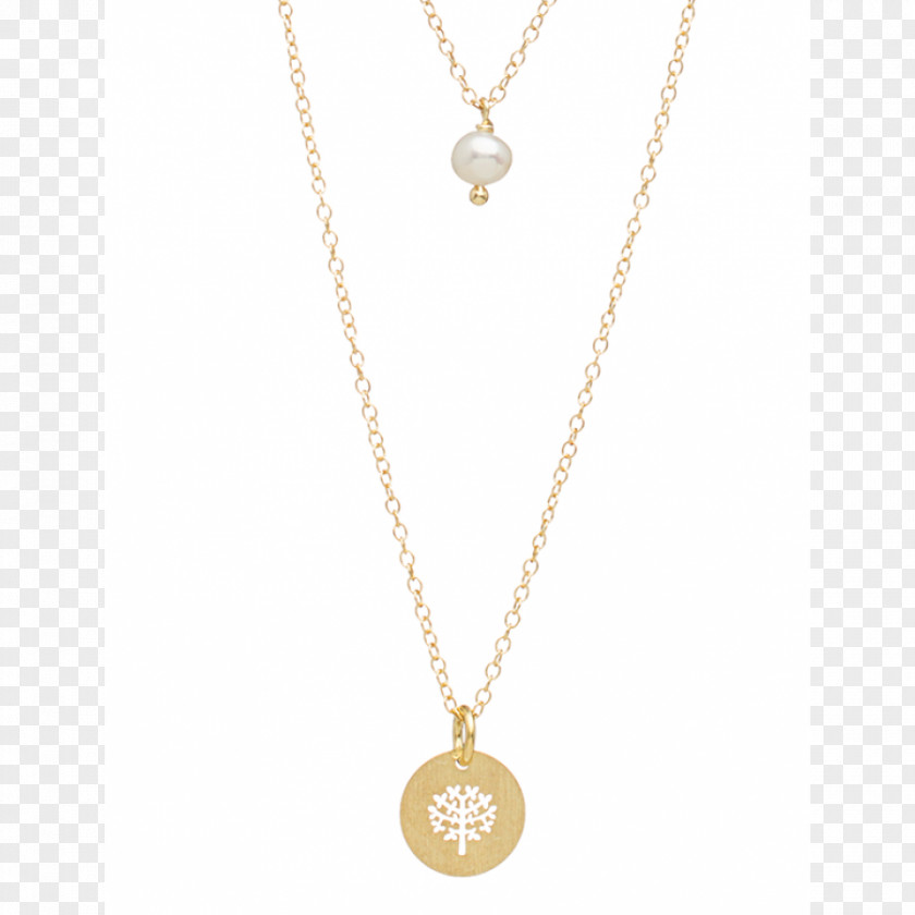 Necklace Earring Bracelet Chain PNG