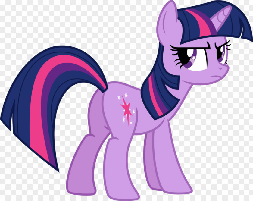 Twilight Sparkle Pinkie Pie Rainbow Dash Pony The Saga PNG