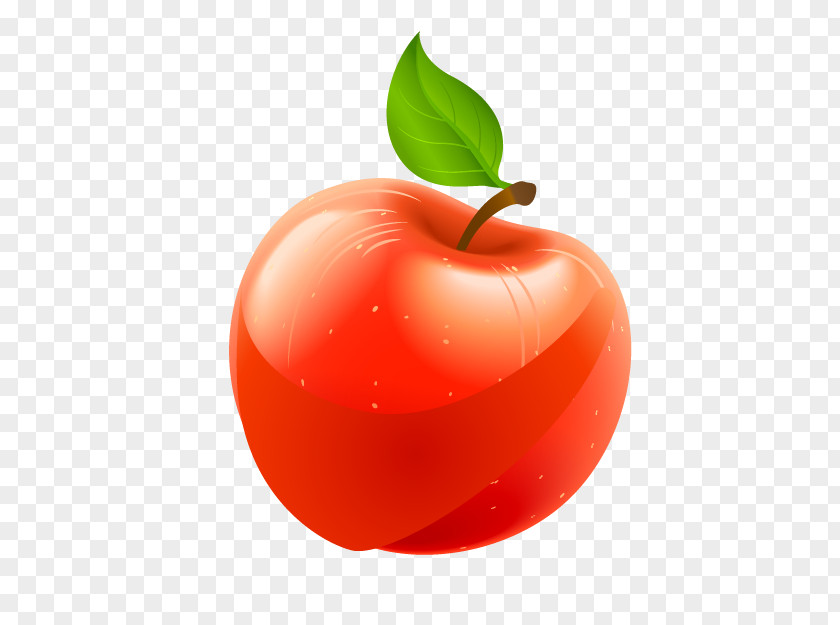 Vector Red Apple Download Icon PNG
