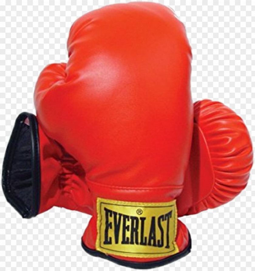 Boxing Glove Punching & Training Bags Everlast PNG