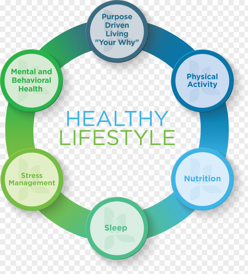 Health Health, Fitness And Wellness Lifestyle System Stress Management PNG
