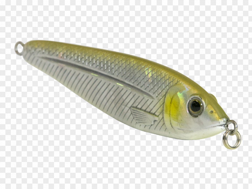 Spoon Lure Osmeriformes Oily Fish AC Power Plugs And Sockets PNG