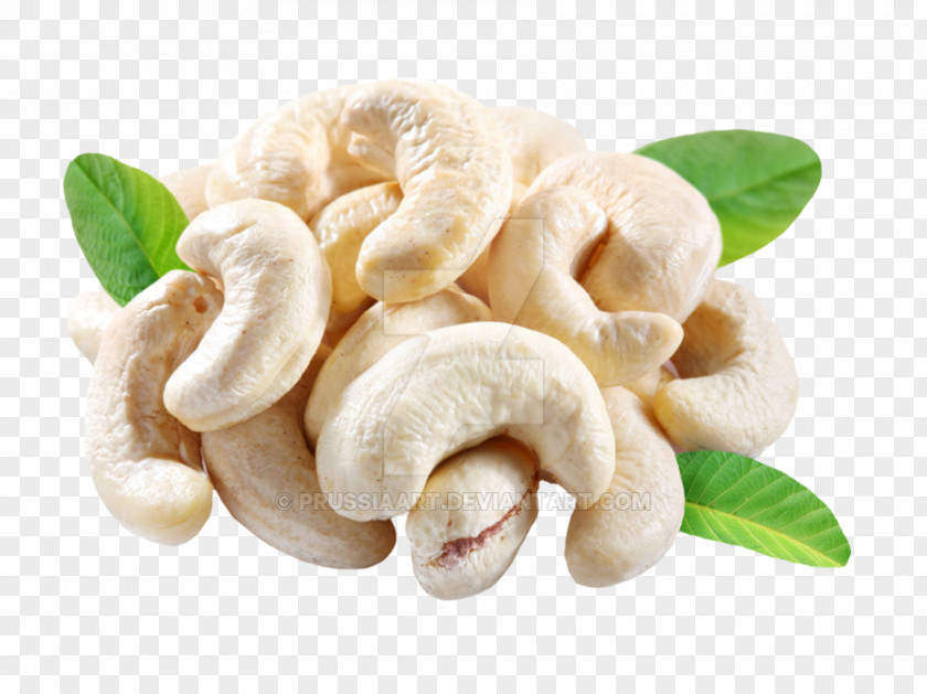 CASHEW Roasted Cashews Nut Raw Foodism PNG