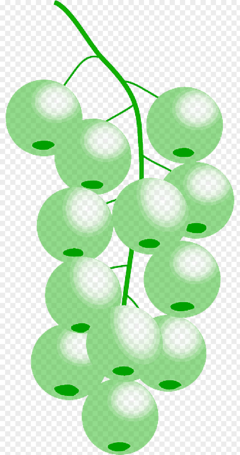 Cranberry Vector Grape Clip Art Royalty-free Green Graphics PNG