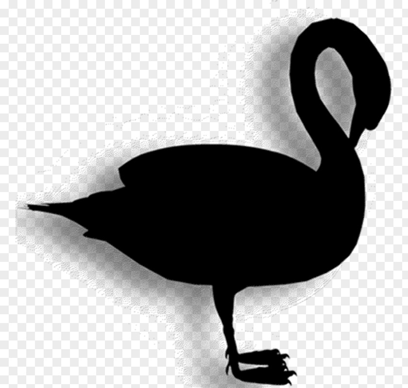 Duck Goose Clip Art Fauna Silhouette PNG