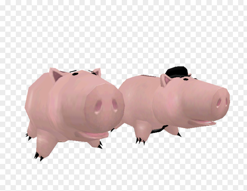 Pig Domestic Snout Pink M Neck PNG