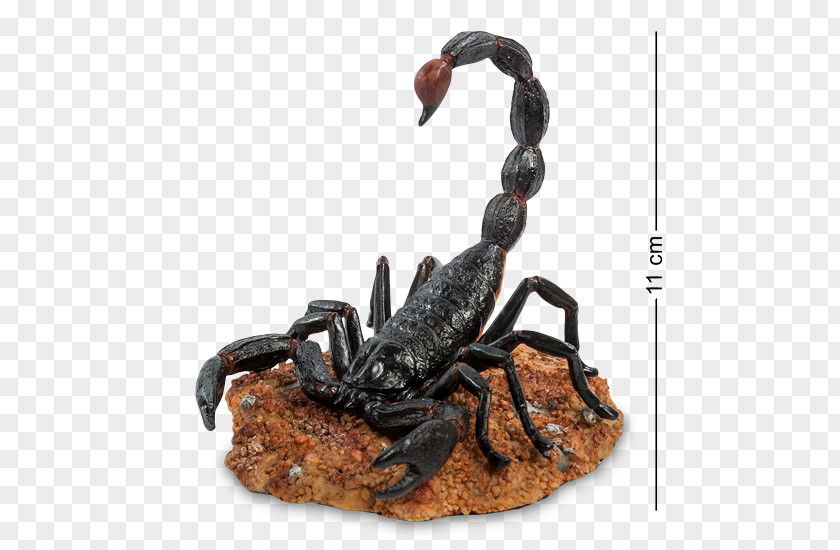 Scorpion Emperor Arachnid Animal Shutterstock PNG