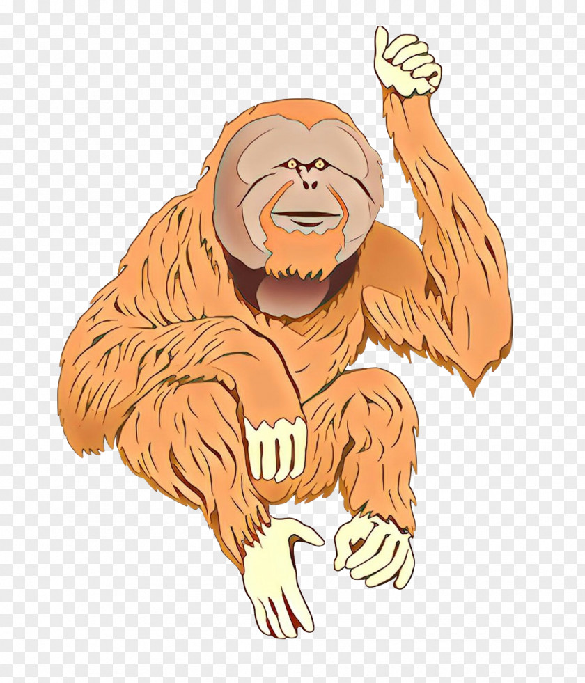 Bornean Orangutan Ape Sumatran Chimpanzee Monkey PNG