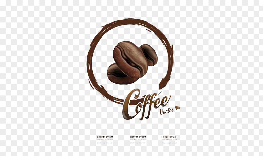 Coffee Beans Picture Bean Drink PNG