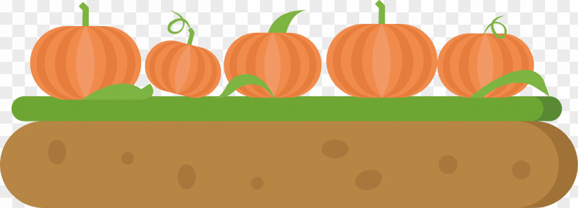 Land Pumpkin Seed Elements Calabaza Adobe Illustrator PNG