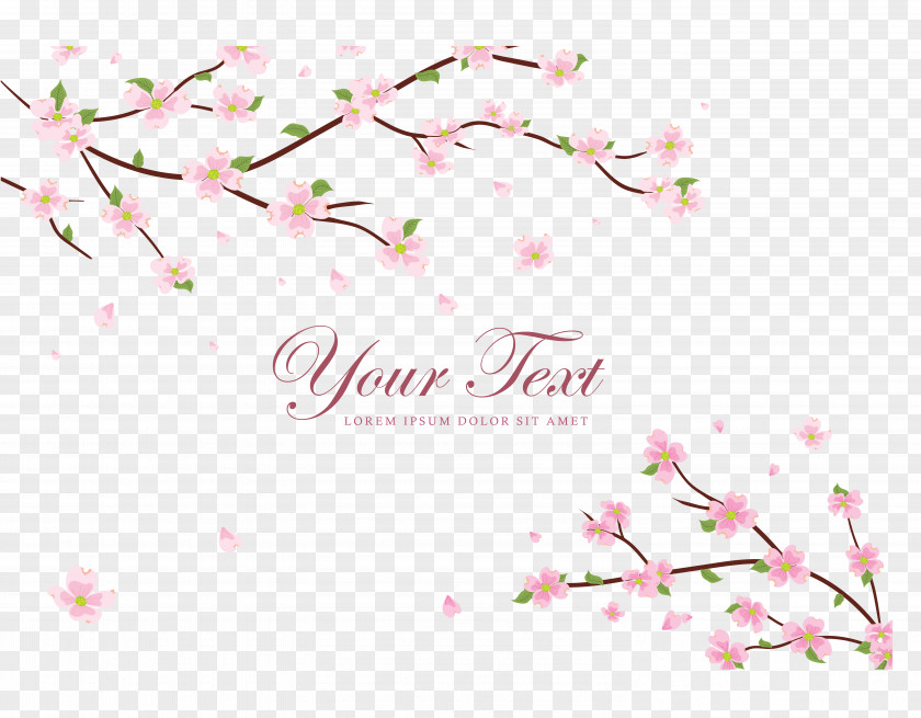 Painted Plum Blossom Pink Flowers Petal Branch PNG