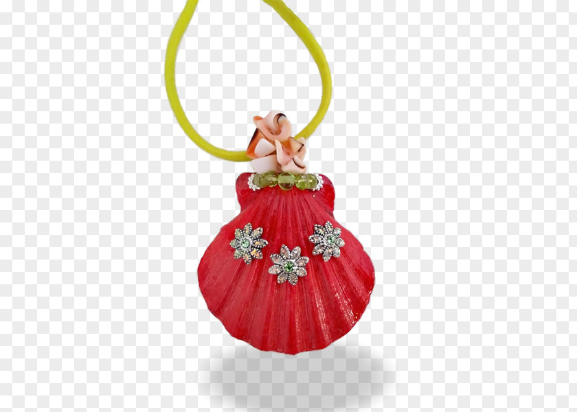 Scallop Shell Coral Reef Jewellery Sea Necklace PNG