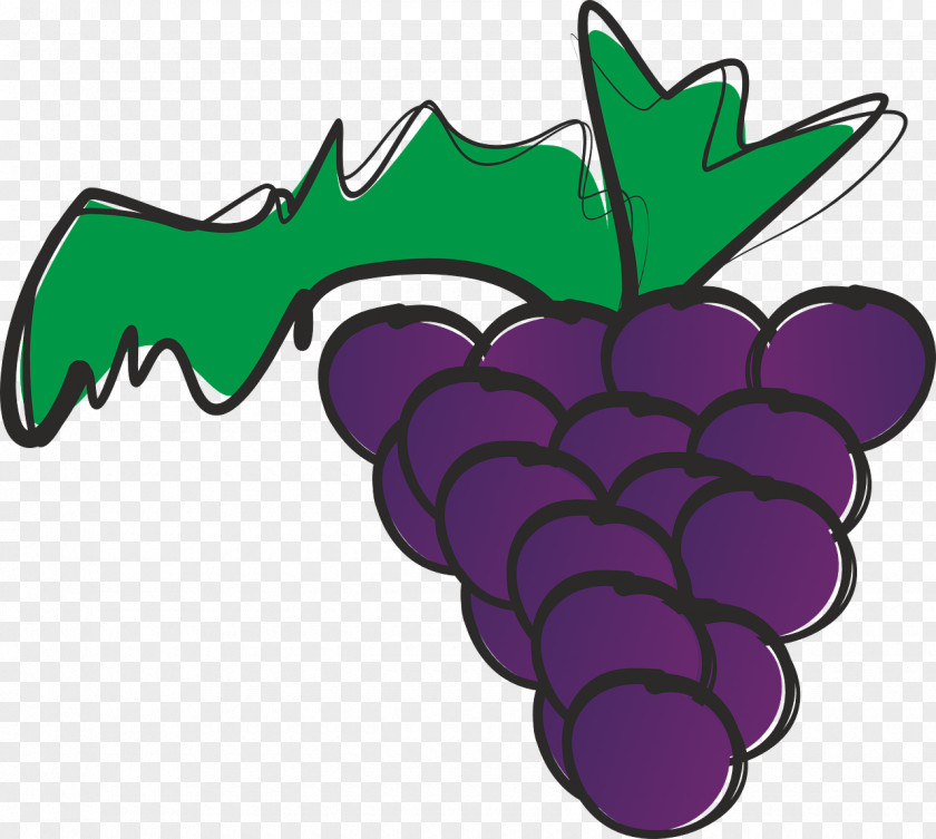 Grape Leaves Wine Raceme Fruit Clip Art PNG