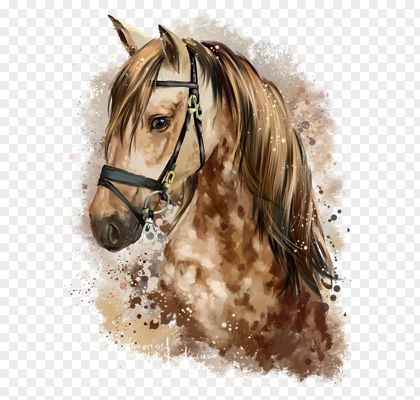 Horse Pony Watercolor Painting Drawing PNG