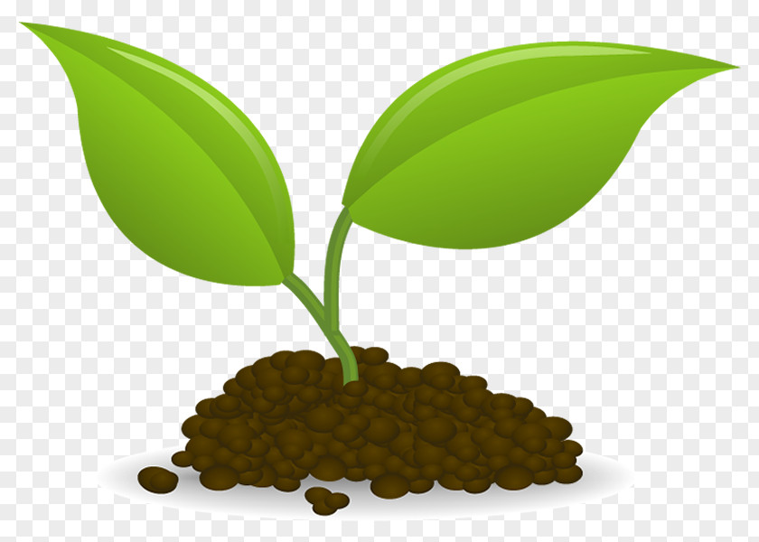 Plant Sowing Seedling Clip Art PNG