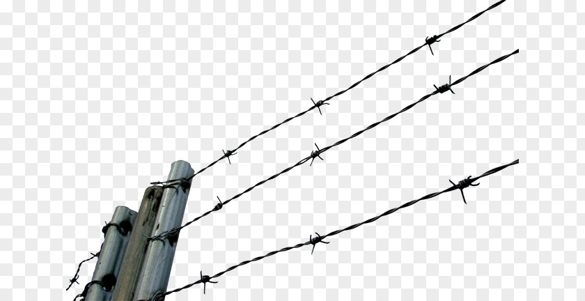 Wire Barbed Chain-link Fencing Clip Art PNG