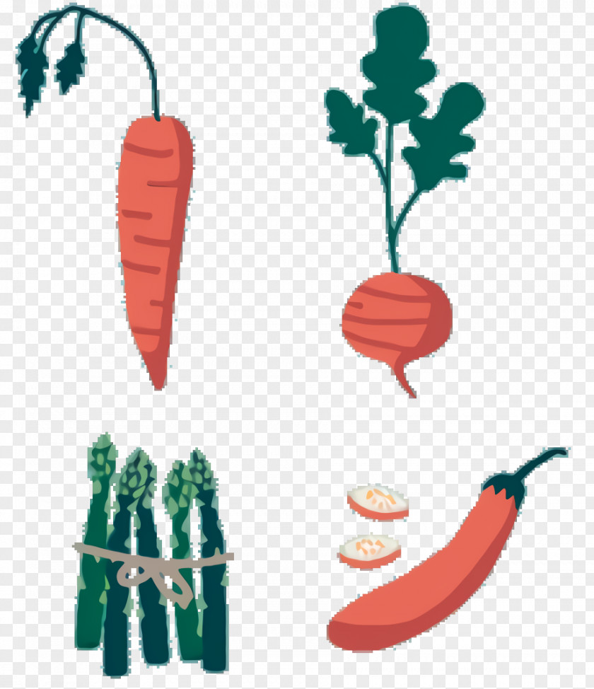 Baby Carrot Food Tree Root PNG