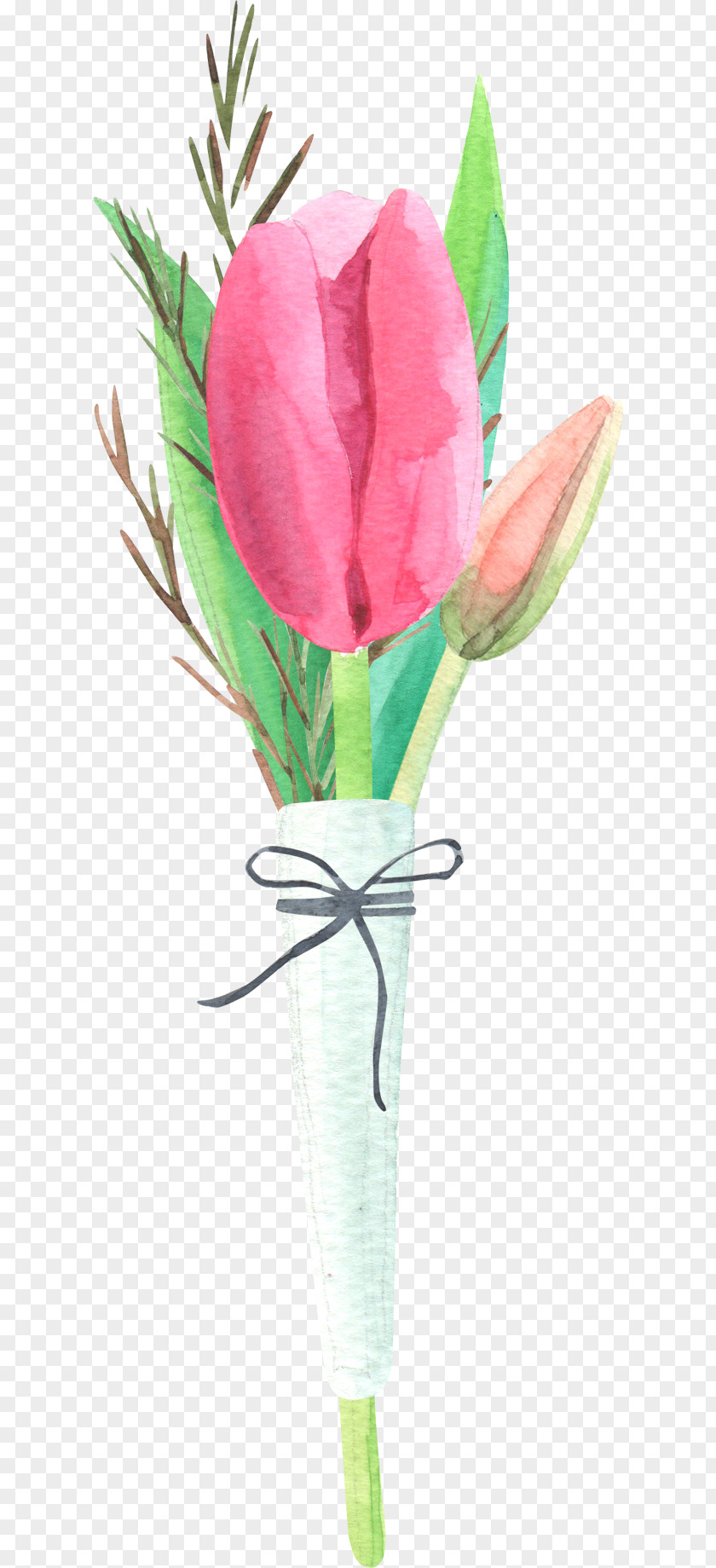 Bow And Tulips Tulip Flower Floral Design PNG