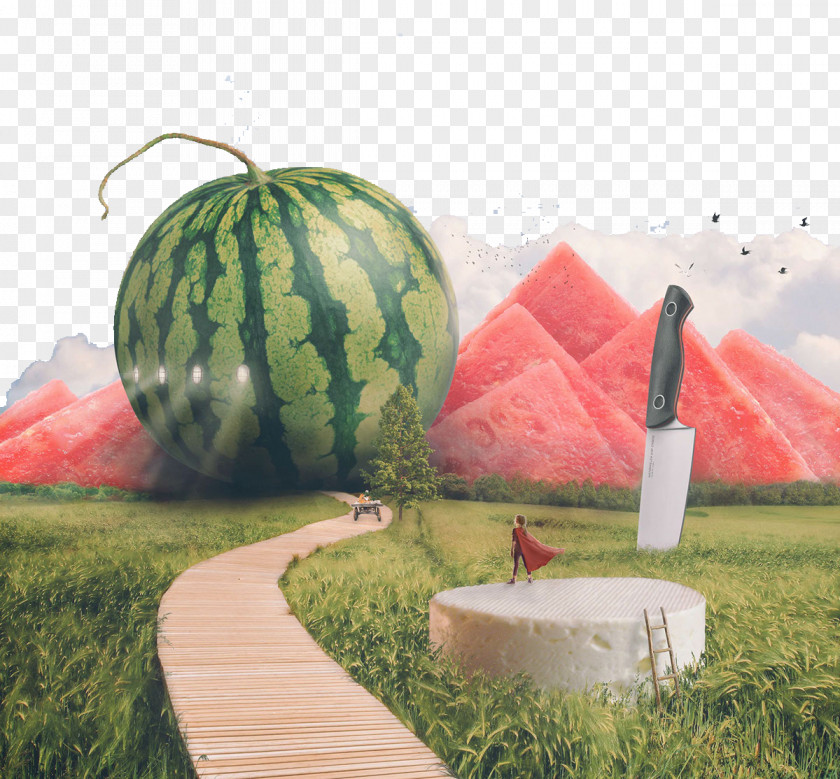 Creative Watermelon Pattern Food Designer Advertising PNG