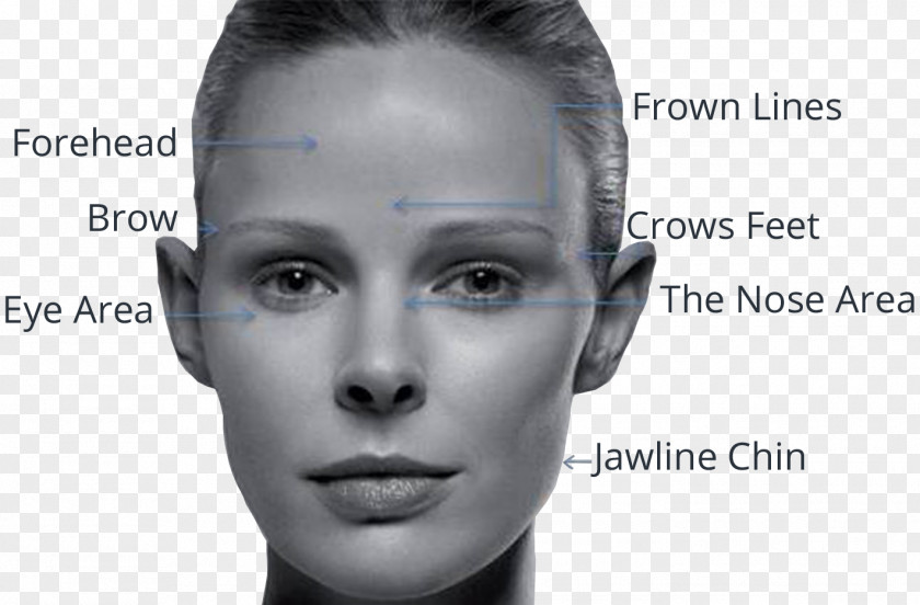 Face Forehead Wrinkle Cheek Skin Element Clinic PNG