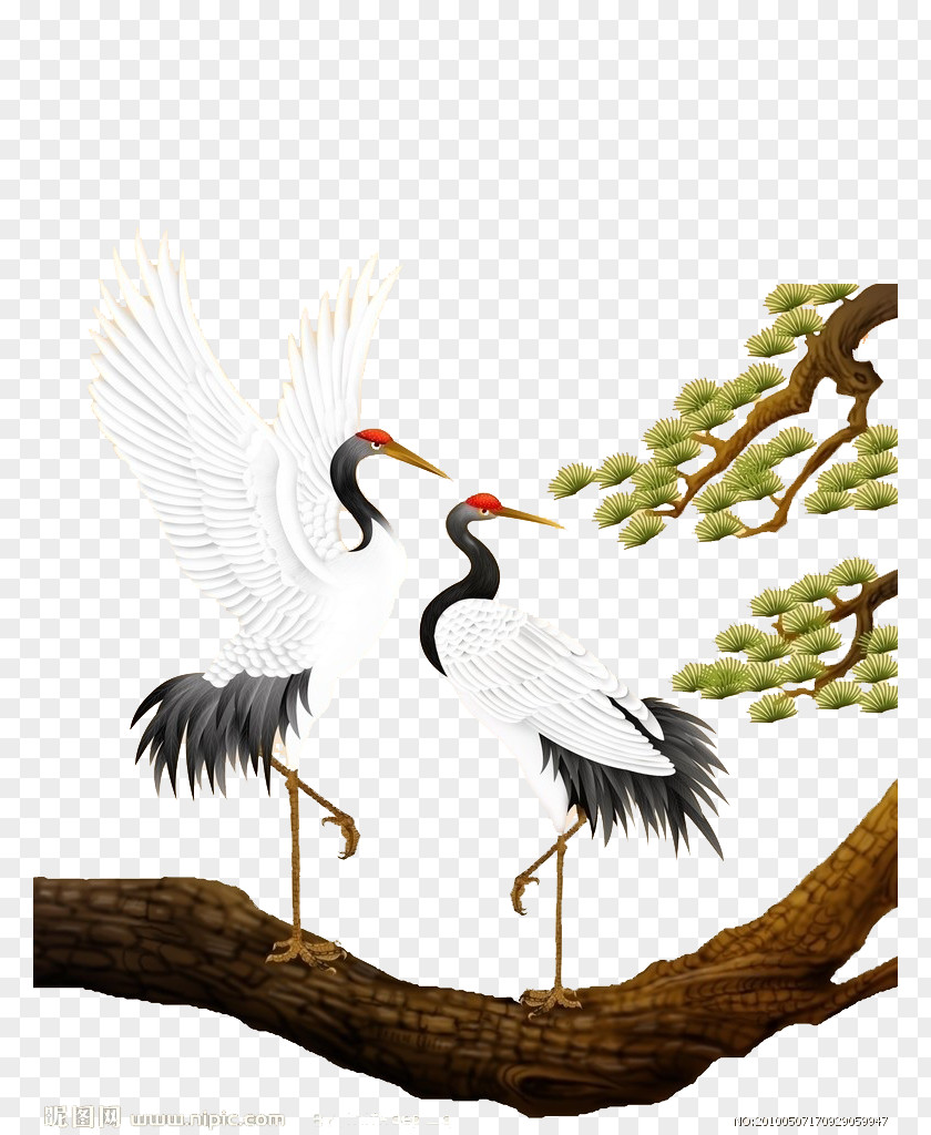 Pine And Crane Red-crowned Budaya Tionghoa Bird-and-flower Painting Chinoiserie PNG