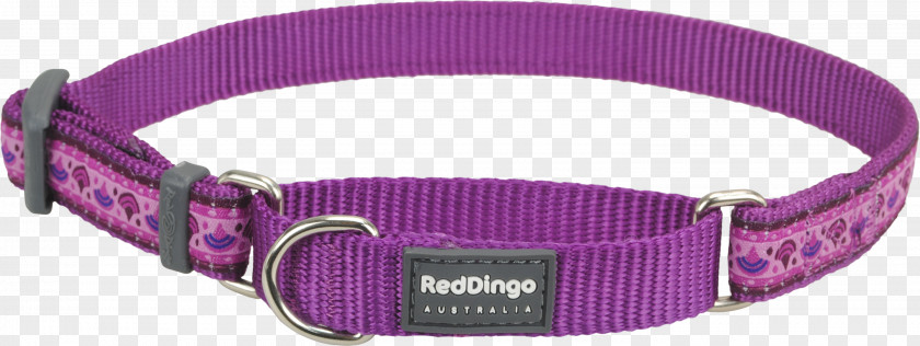 Red Collar Dog Martingale PNG